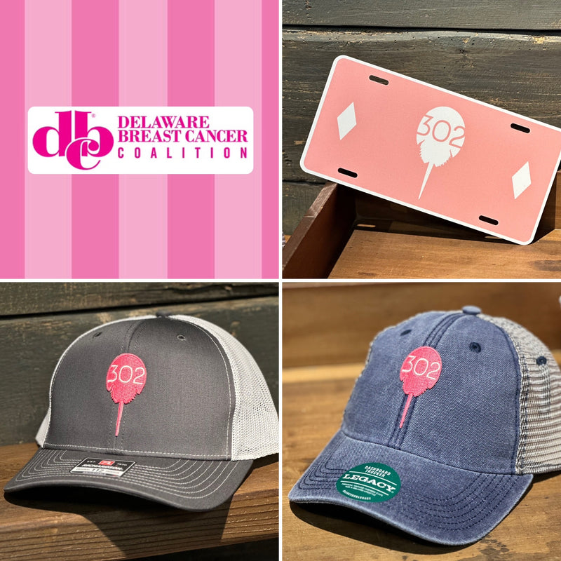 2023 Delaware Breast Cancer Coalition Collab items